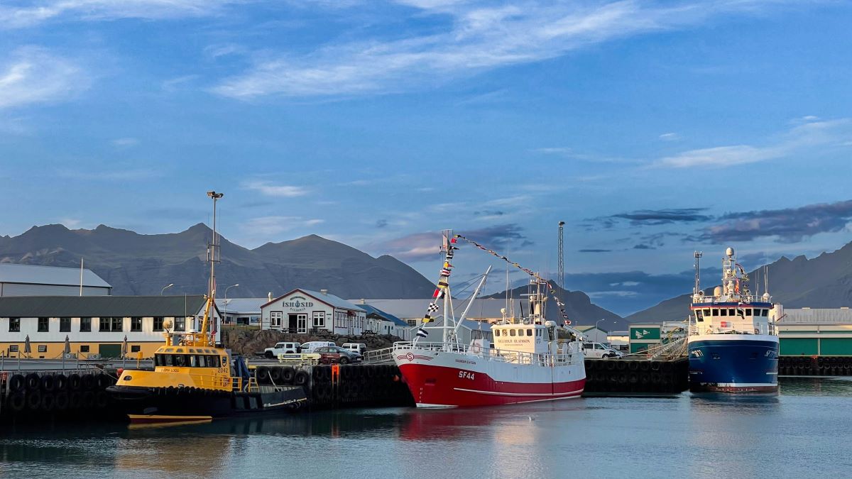Höfn Harbour overview