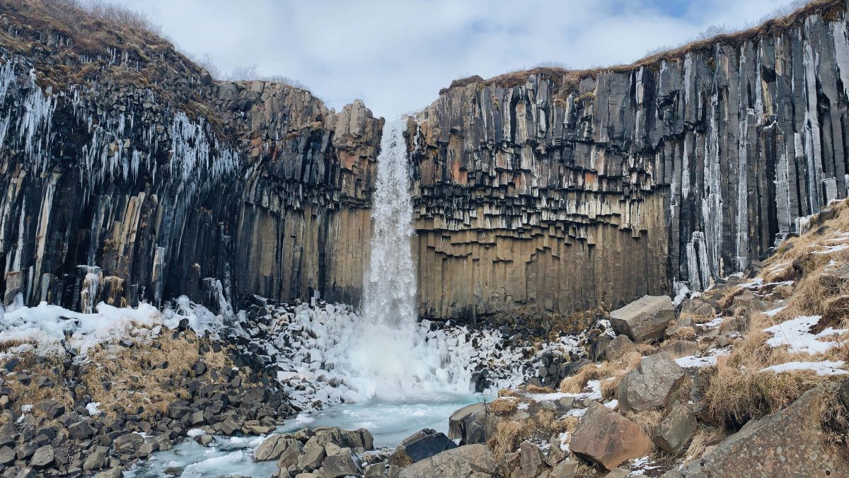 Svartifoss waterfall Skaftafell gigi