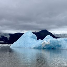 Fjallsarlon Glacier Lagoon Icebergs - Glacier