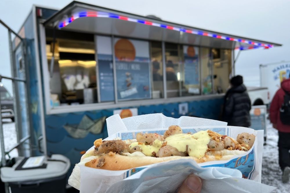 food truck Jokulsarlon Glacier Lagoon