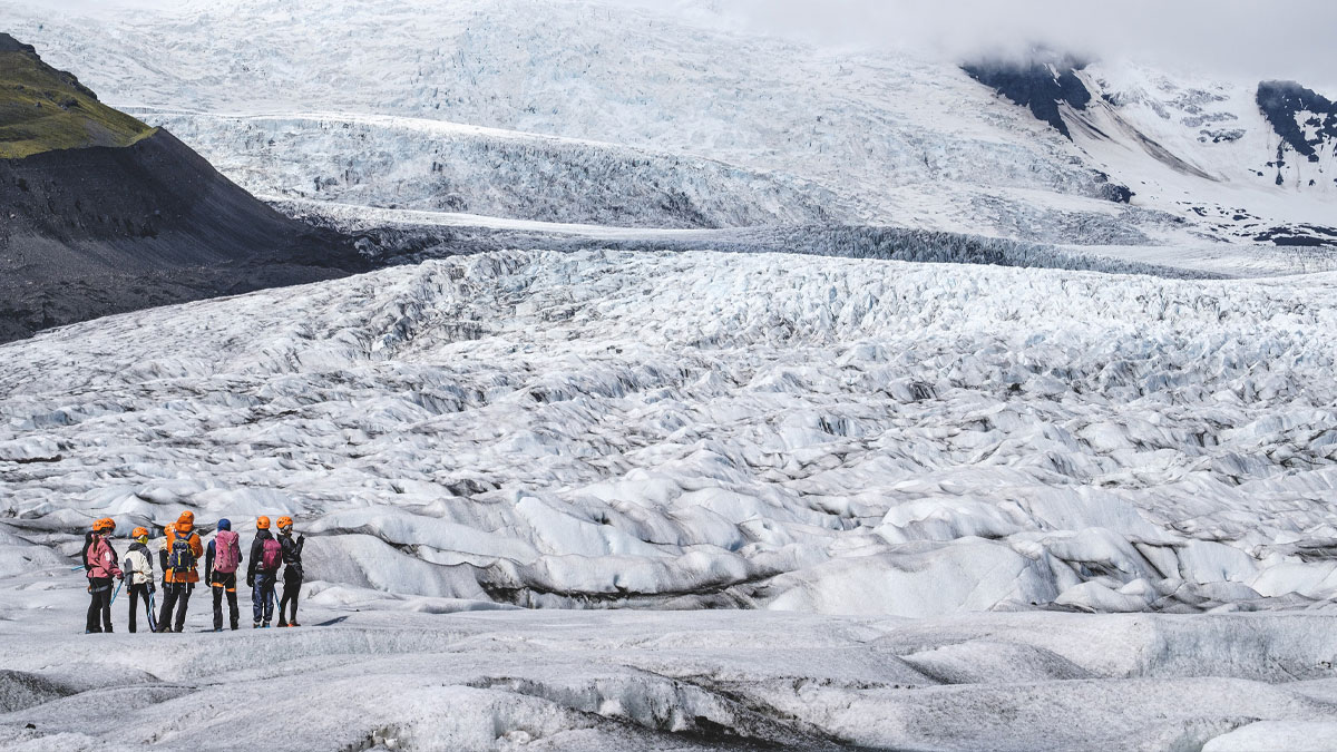 Arctic Glacier Hike 4 hrs - Fjallsjokull - Fjallsárlón Iceberg Lagoon