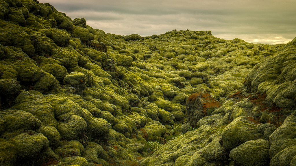 Eldhraun-lava-field