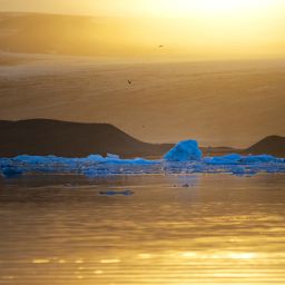 A view of Jökulsárlón glacier lagoon with the midnight sun resting above Breiðamerkurjökull glacier.